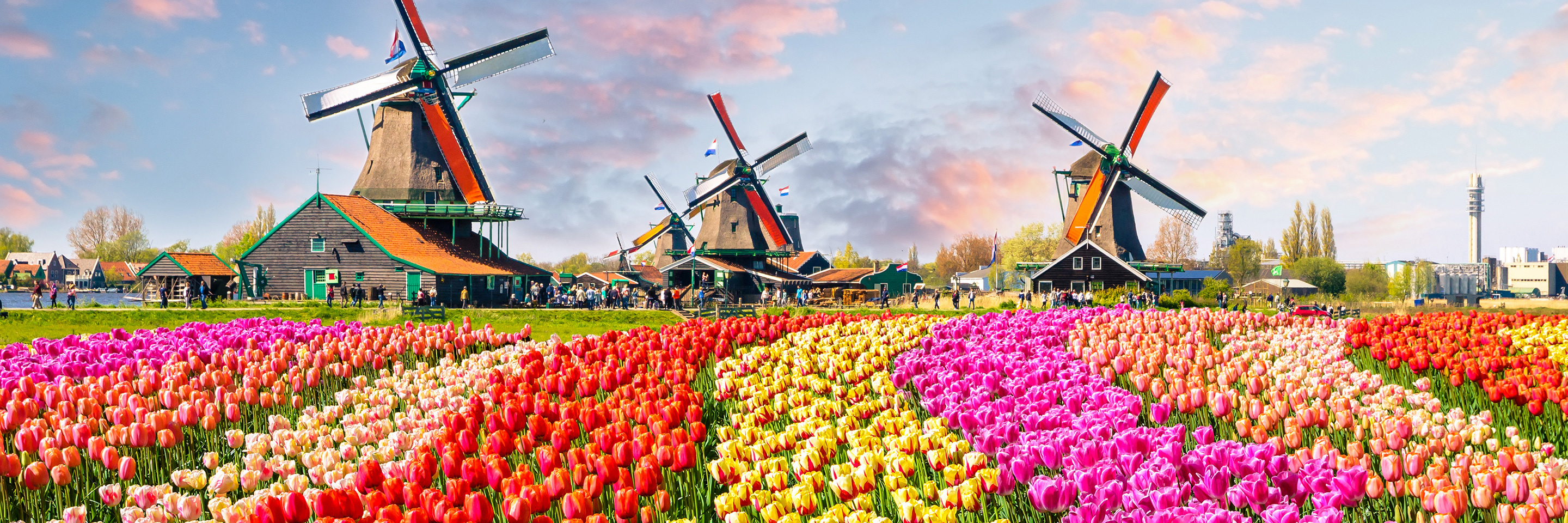 garden-listing-header.jpg