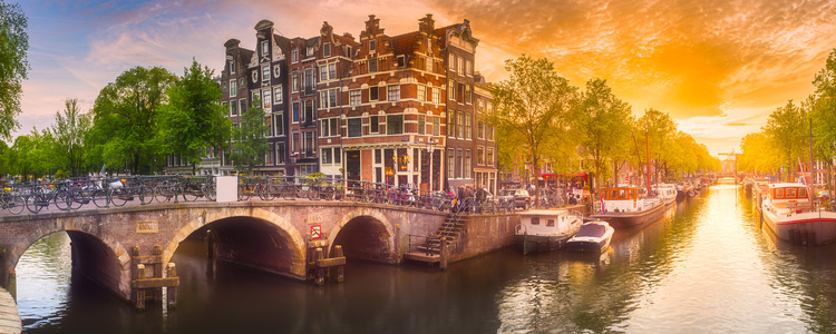 The Rhine & Moselle: Canals,  Vineyards & Castles with 1 Night in Amsterdam