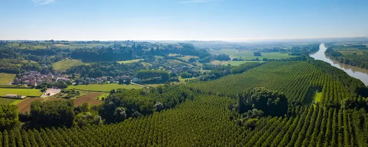 Vineyards, Chateaux & Bordeaux 