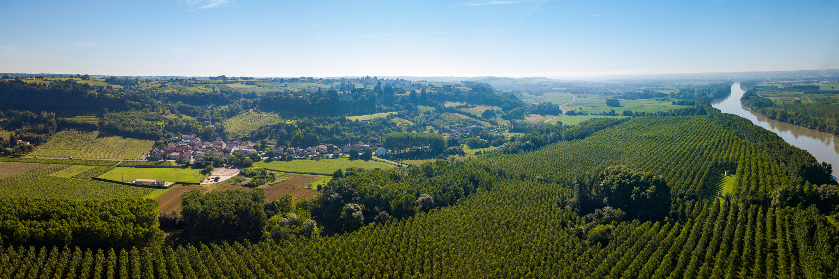 Vineyards, Chateaux & Bordeaux 