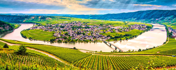 The Rhine & Moselle: Canals, Vineyards & Castles